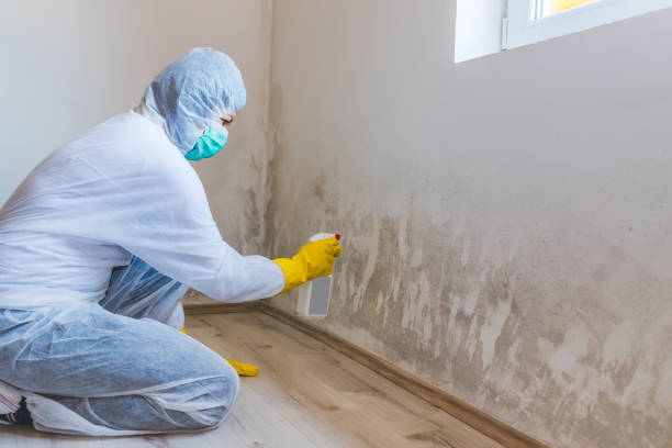 Mold Remediation specialist working in Narvon