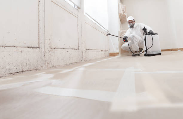 Black mold remediation team in Narvon